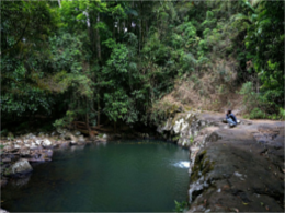 springbrook-national-park